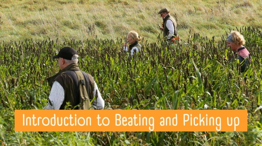 An Introduction to Beating and Picking Up Shooting Scenarios