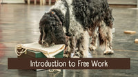 Introduction to Free Work with Sam Negus