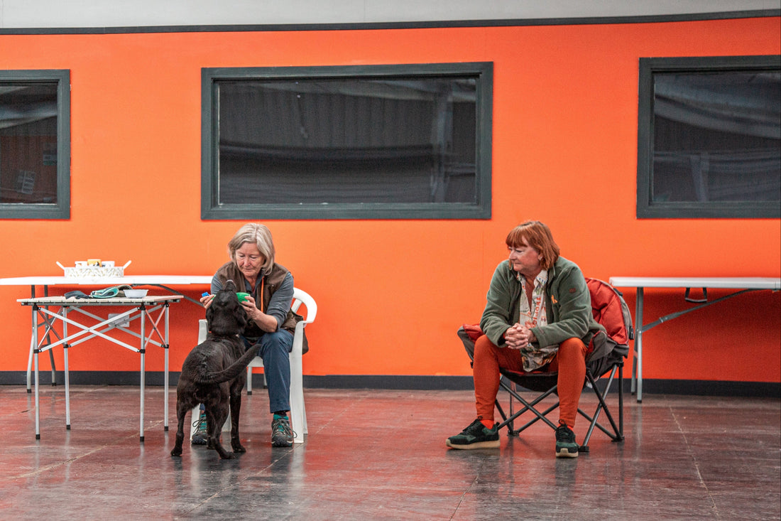 Ethical Dog Training Built Around Understanding Your Dog