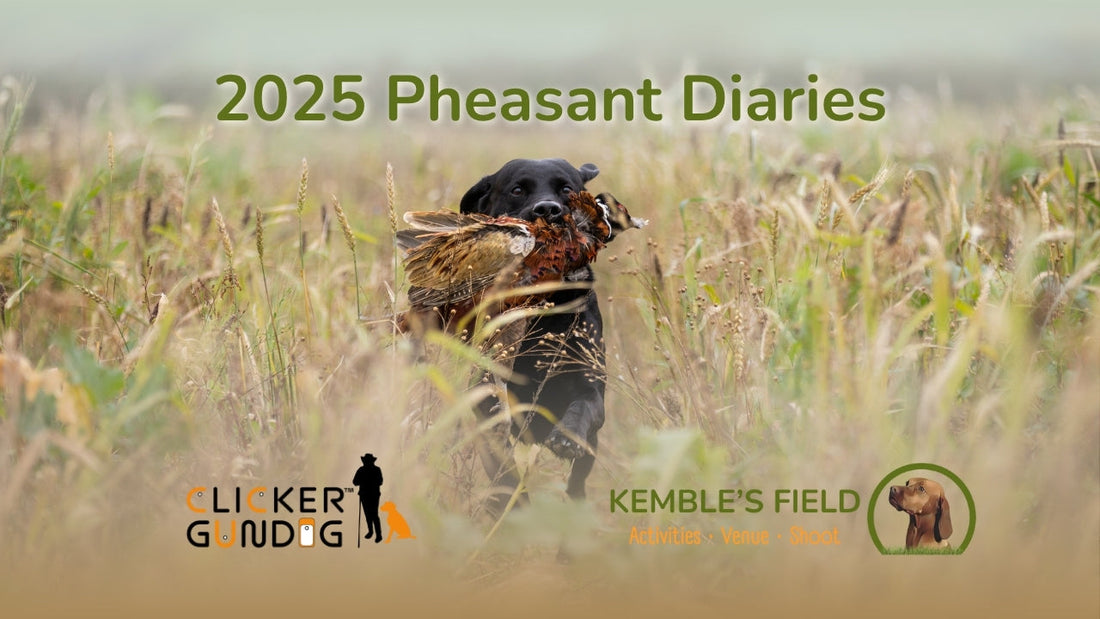 Behind the Scenes with Gamekeeper Chris: What gundog handlers need to know about rearing birds