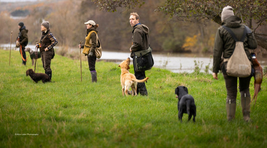Gundog’s first shoot: are you ready to work in the field?