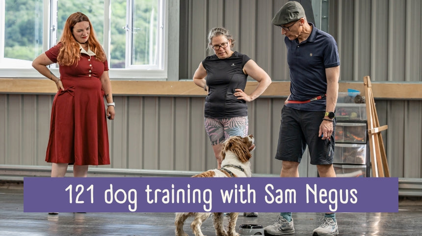 In person 121 dog training with Sam Negus