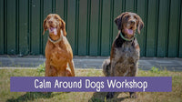 Calm Around Dogs Workshop