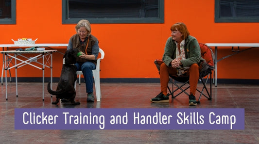 Clicker Training and Dog Handler Skills Spring Camp - 27th April to 1st May 2026