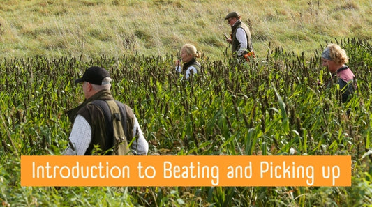 An Introduction to Beating and Picking Up Shooting Scenarios