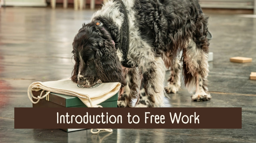 Introduction to Free Work with Sam Negus