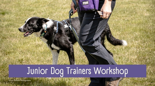Junior Dog Trainers Workshop